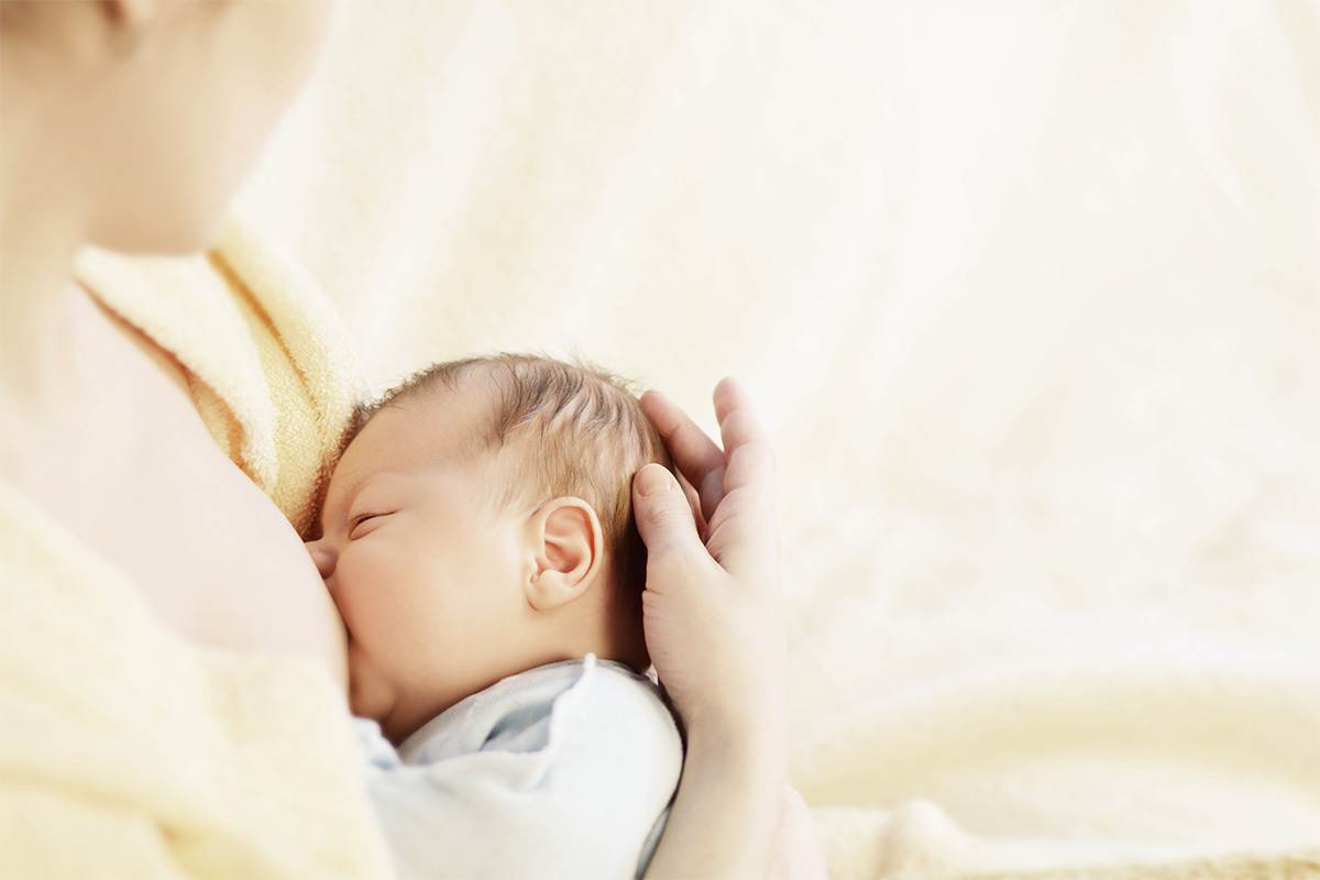 Traditional Foods vs Lactation Supplements. Which is Right for Nursing Mothers