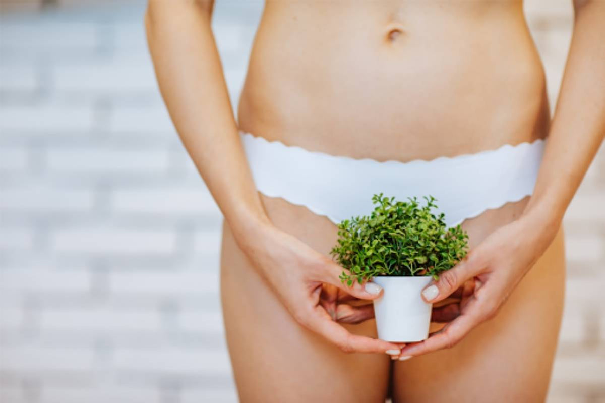 Girl Holding Flower pot
